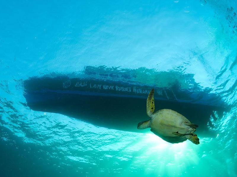 Raja Laut Dive Resort Bunaken Εξωτερικό φωτογραφία